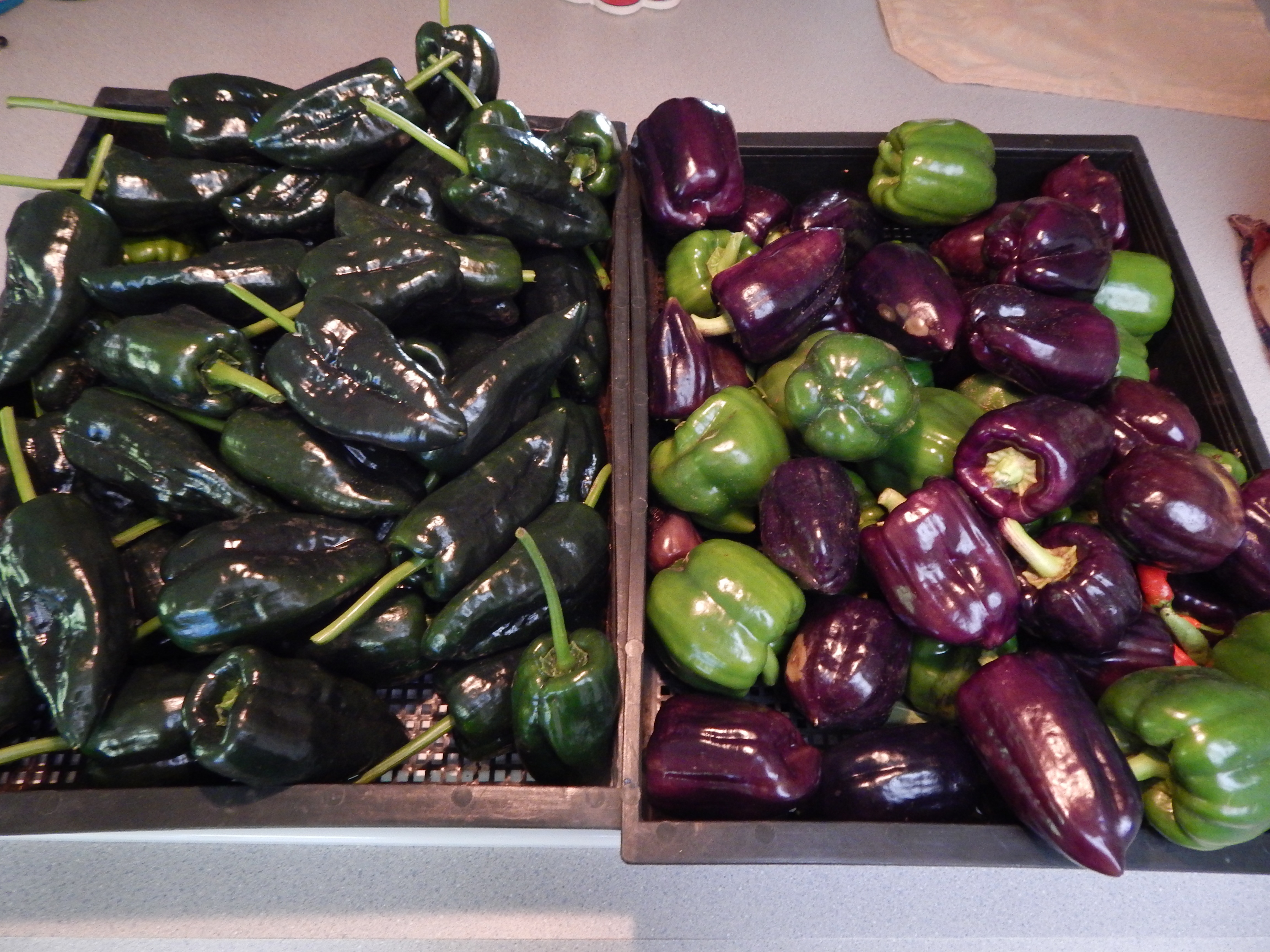 Pablano & Lilac peppers