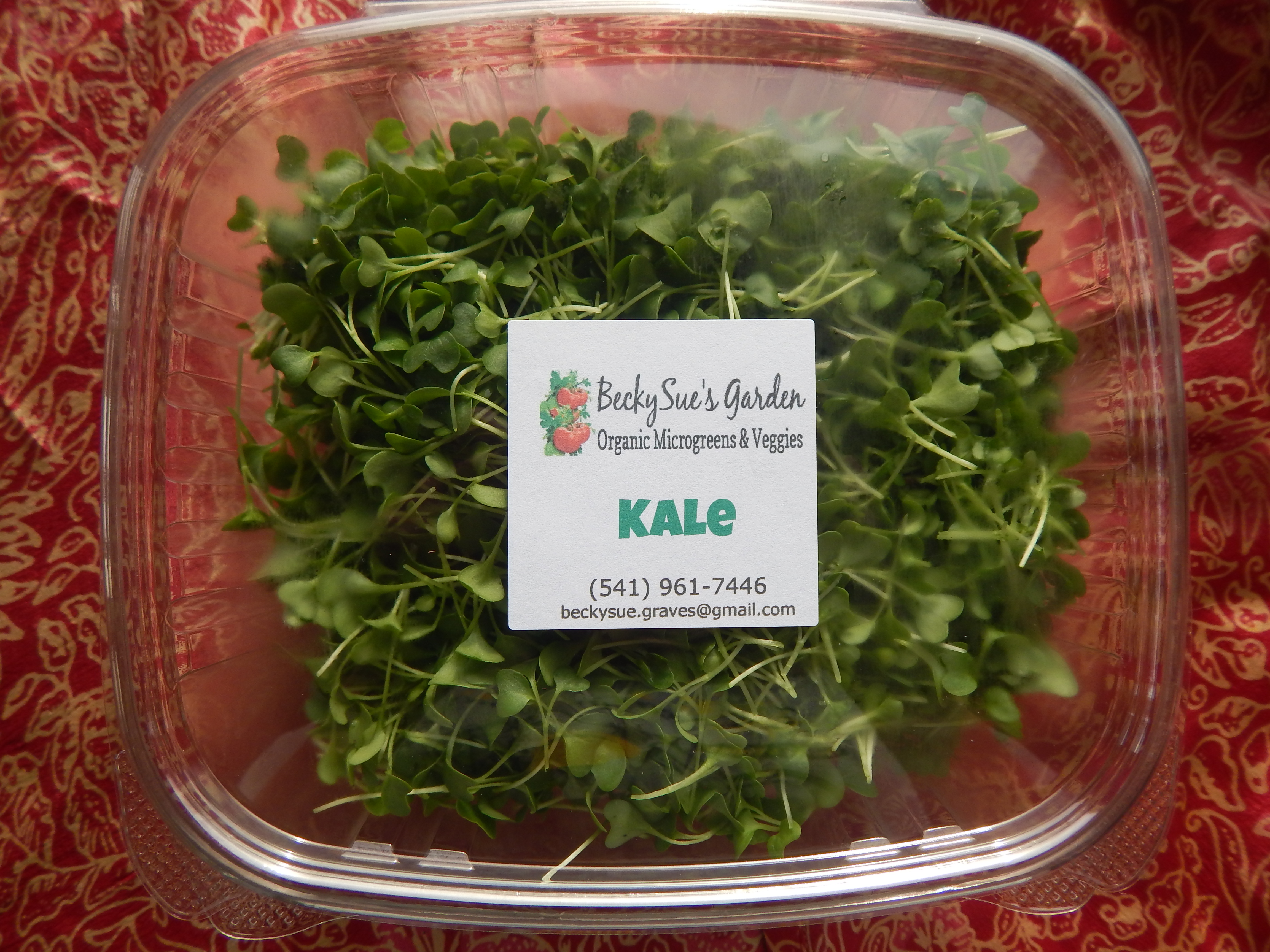Microgreens 4 oz. Pack Kale