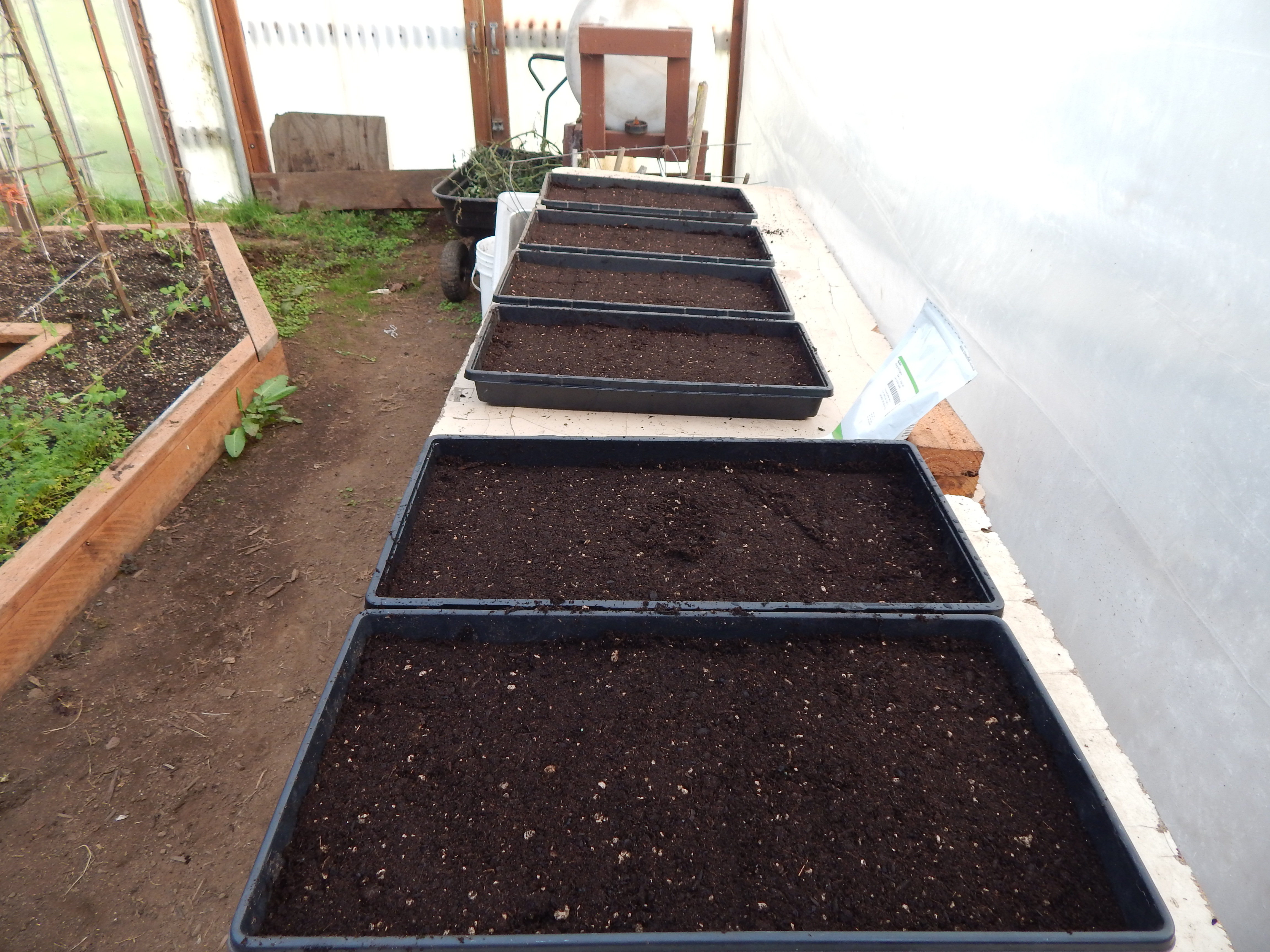 Soil filled trays